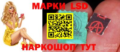 бошки Сланцы
