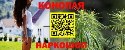 стаф Свободный