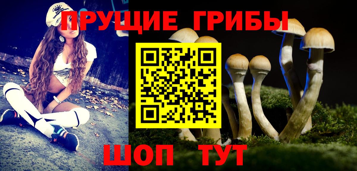Можга  Галлюциногенные грибы MAGIC MUSHROOMS  Вход с VPN 