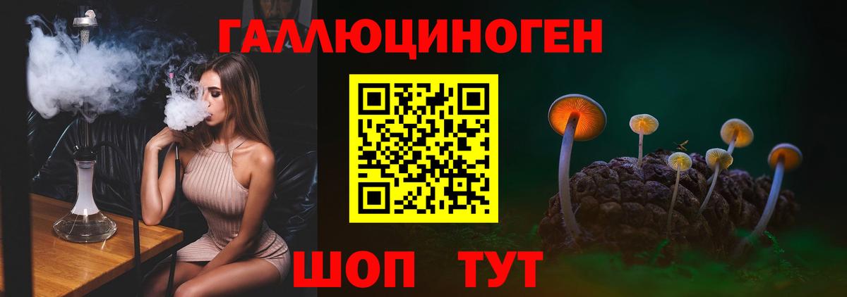 Галлюциногенные грибы Psilocybine cubensis Можга